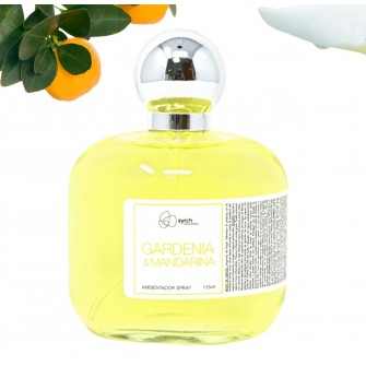 ACQUA Ambientador Acqua Clean 100 ml 