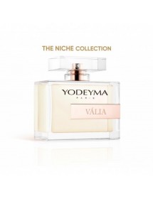 Espacio de Yodeyma